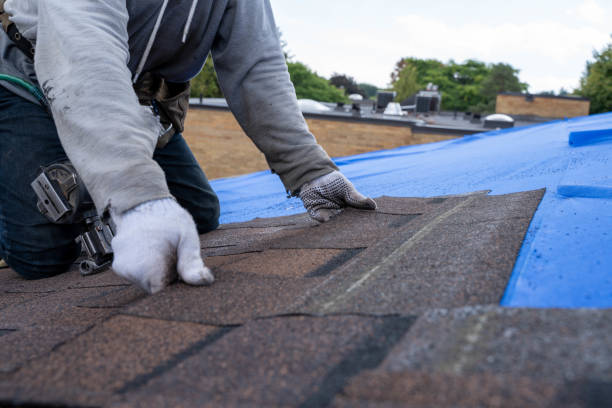 Best Metal Roofing Installation  in Mans, CO