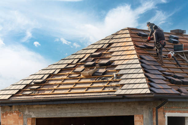 Best Roof Maintenance and Cleaning  in Mans, CO